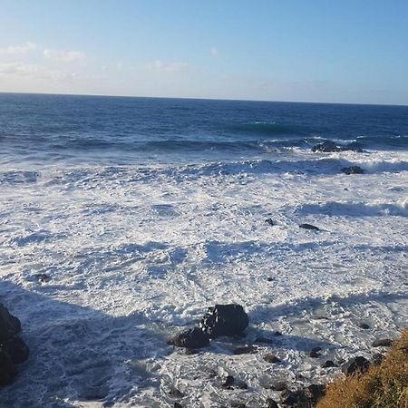 Ajaccio Sanguinaires Appt 3P Pour 4 A 5 P Ttes Commodites Tt Confort A 300M De La Mer Et A 5 Mn Du Centre Ville Eksteriør billede